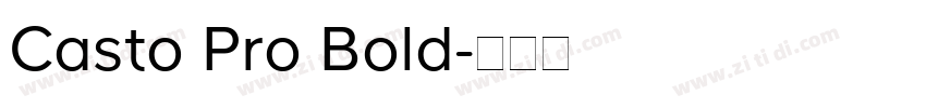 Casto Pro Bold字体转换
